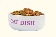 Ceramic cat food bowl