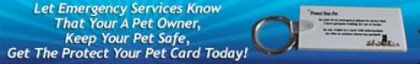Protect Your Pet Card Banner 