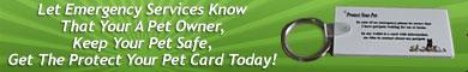 affliate program banner