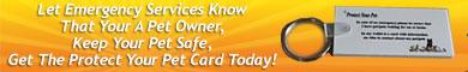 affiliate program banner