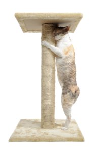 scratching posts
