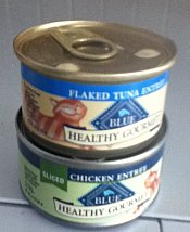 canned kitten food