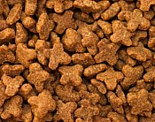 picture of dry cat food